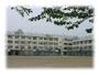 中学校　代々木中学校（中学校）まで850m