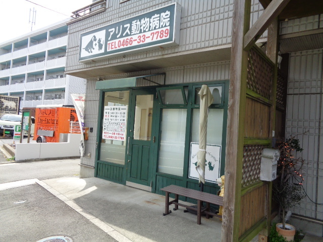 病院　アリス動物病院（病院）まで96m