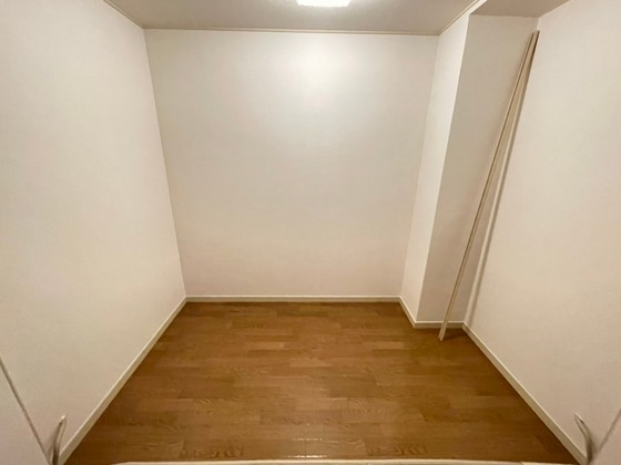 収納　※別部屋の写真です