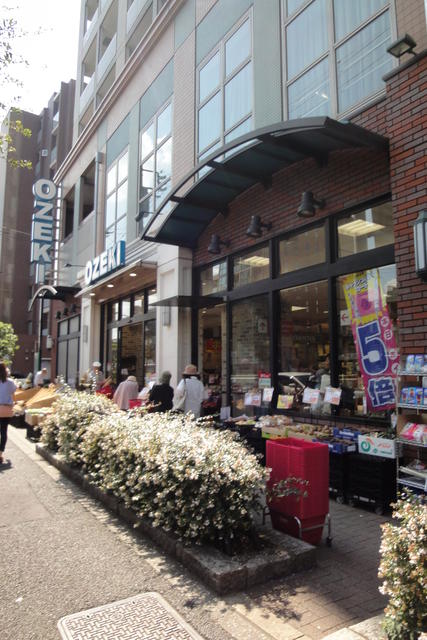 その他共有部分　スーパーオオゼキ野沢店まで338m