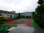 小学校　江戸川区立西小岩小学校（小学校）まで296m