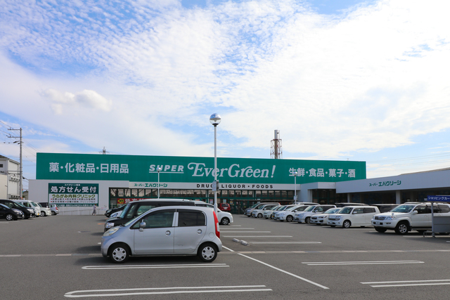 ドラックストア　スーパーエバグリーン四ヶ郷店（ドラッグストア）まで554m
