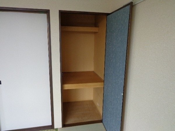 収納　奥行のある収納です。（同建物の別部屋の写真）