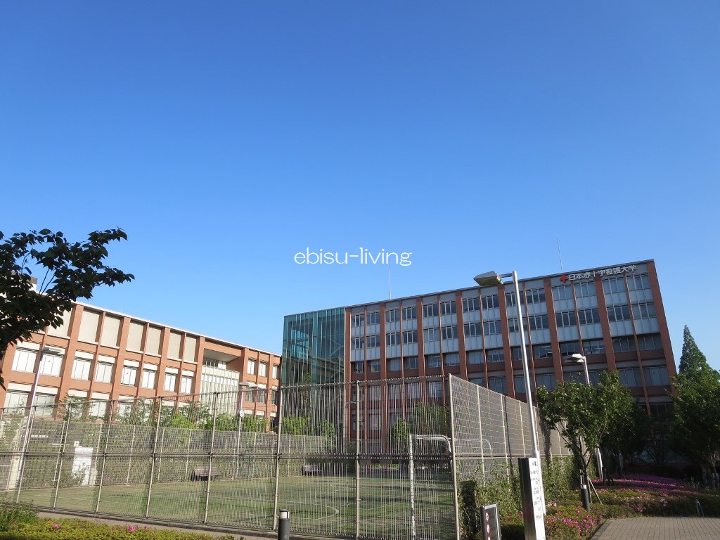 大学・短大　私立日本赤十字看護大学（大学・短大）まで819m