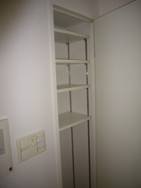 収納　写真は別部屋です。