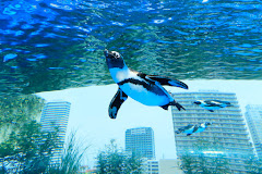 その他　サンシャイン水族館（その他）まで305m