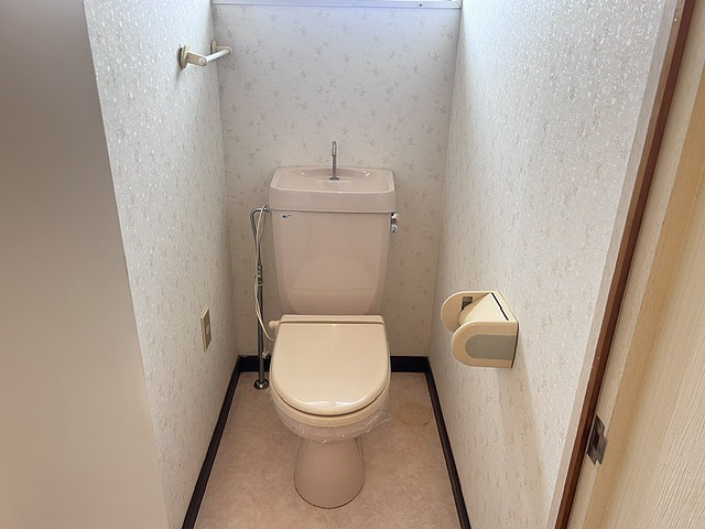 ハイツIZZIIIのトイレ写真