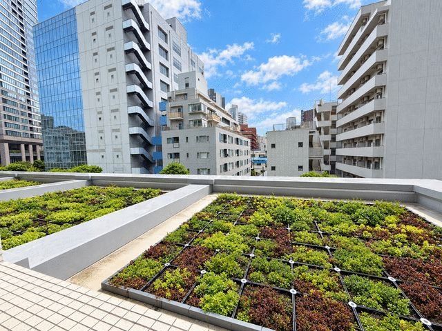 白金タワーのその他写真