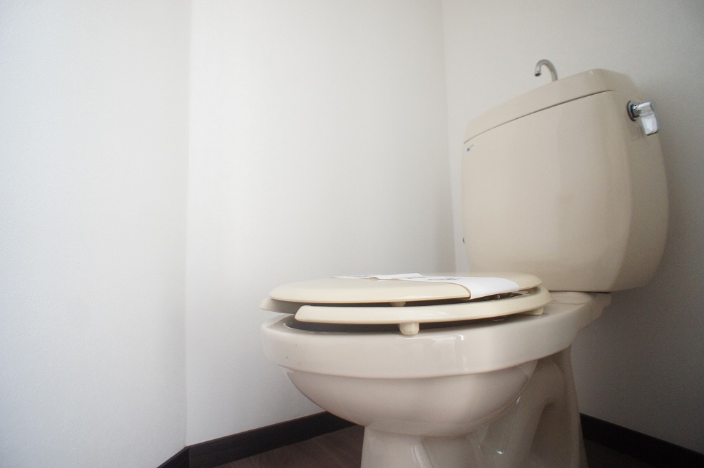 メイプルハイツBのトイレ写真