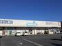 ドラックストア　ウエルシア水戸千波店（ドラッグストア）まで872m
