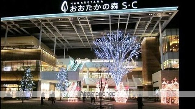 ショッピングセンター　流山おおたかの森Ｓ．Ｃ．（ショッピングセンター）まで1300m