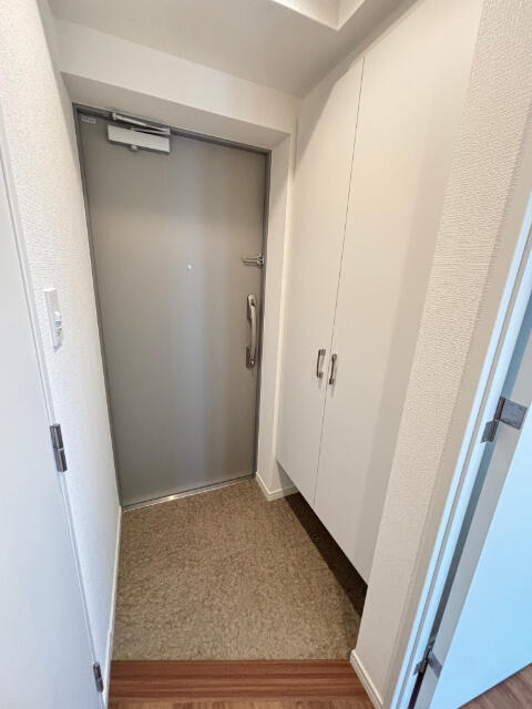 玄関　※棟内同タイプ