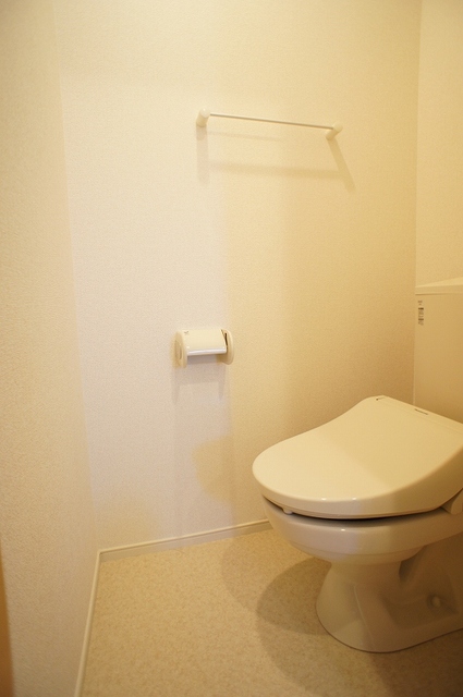 ミルトメゾン・Y IIのトイレ写真