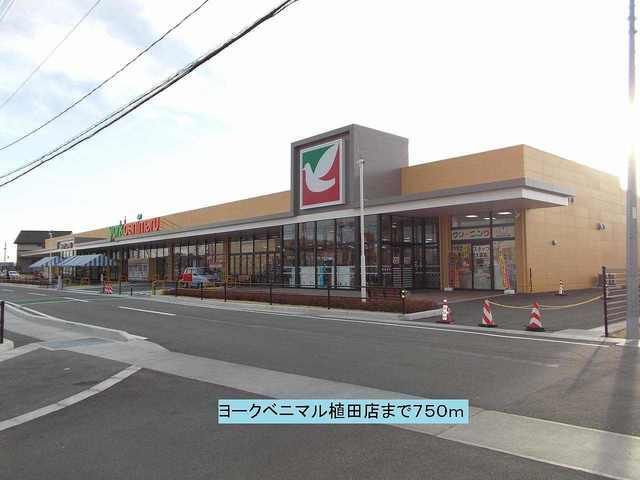 スーパー　ヨークベニマル植田店（スーパー）まで750m