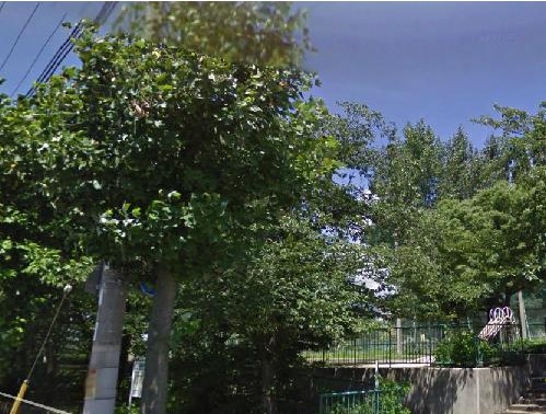 公園　住吉台公園（公園）まで1122m