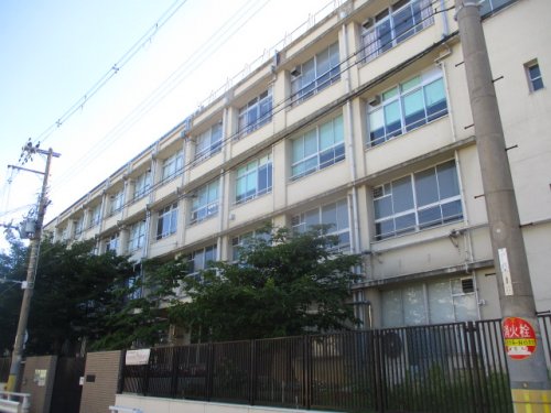 小学校　大阪市立南津守小学校（小学校）まで742m