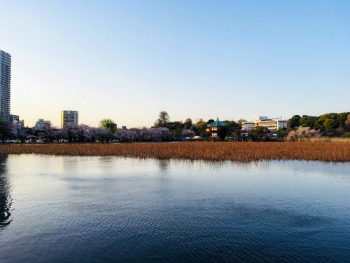 【ハイツ玉川の公園】