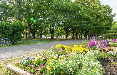 【ルミエール綾瀬の公園】