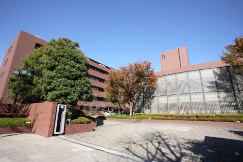 【ロクサーヌ浜甲子園の大学・短大】