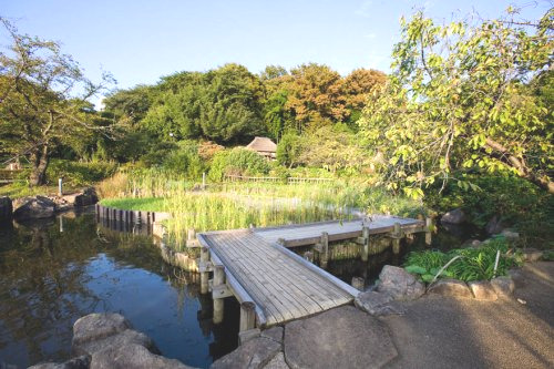 公園　馬場花木園（公園）まで982m