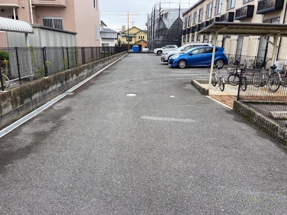 庭