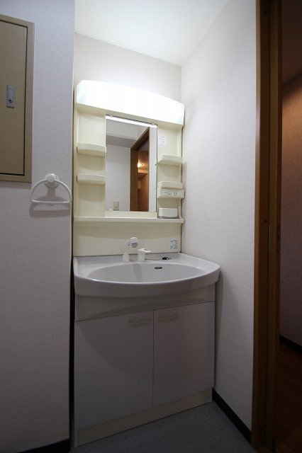 洗面設備　同物件、別号室のものです。