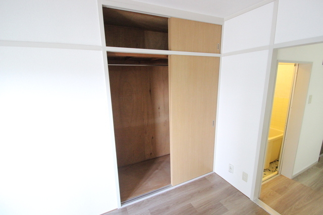 収納　クローゼットタイプ