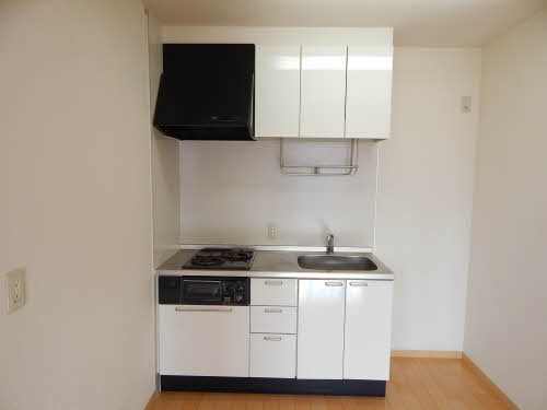 キッチン　※別号室の写真です。