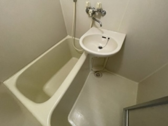 バス・シャワールーム　※別部屋の写真です