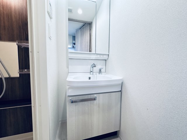 洗面設備　（イメージ）同タイプの写真です。