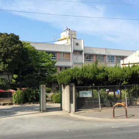 中学校　和泉市立信太中学校（中学校）まで647m