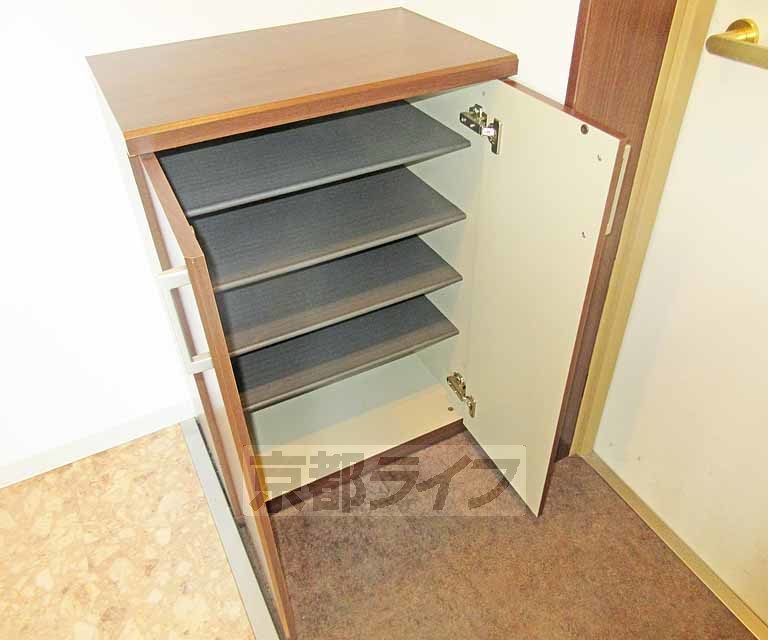 収納　たくさん入るシューズボックス