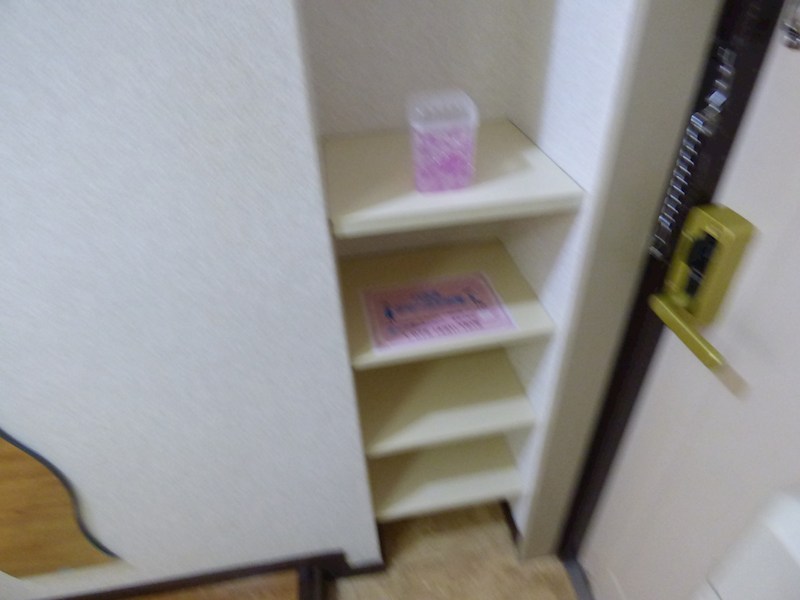 収納　写真は別部屋