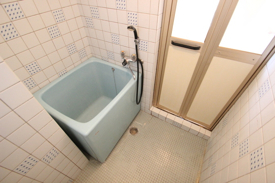 バス・シャワールーム　※別号室のお写真です