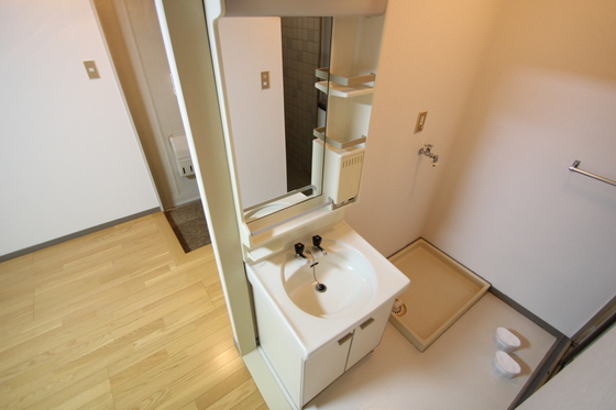 洗面設備　※別号室のお写真です