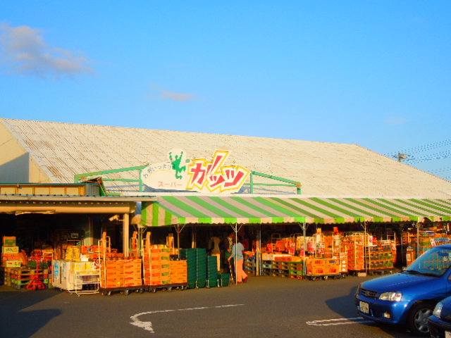 スーパー　スーパーガッツ 姉崎店（スーパー）まで2018m