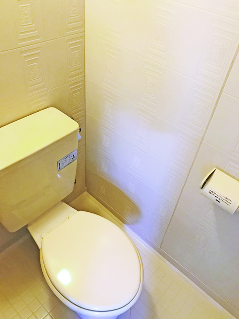 トイレ　※補修前の参考画像の為、設備等は現況優先。