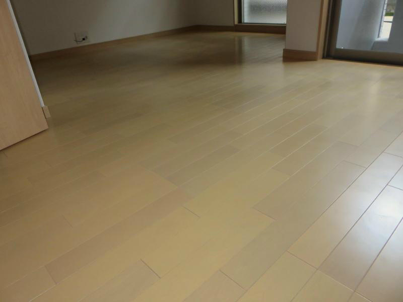 居室・リビング　写真は102号室です