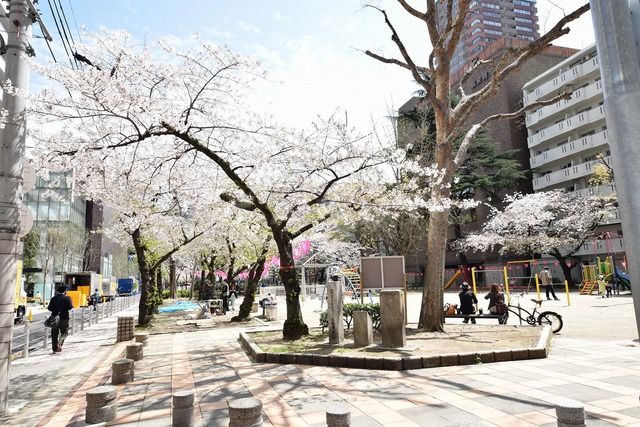 公園　新町北公園（公園）まで389m