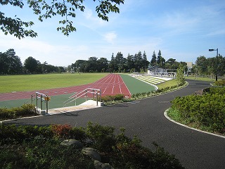 公園　和田堀公園 第二競技場（公園）まで20m
