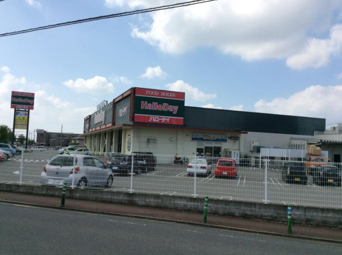 スーパー　ハローデイ国分店（スーパー）まで1080m
