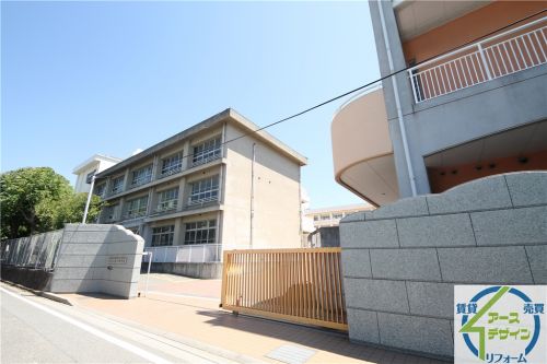 中学校　明石市立衣川中学校（中学校）まで899m
