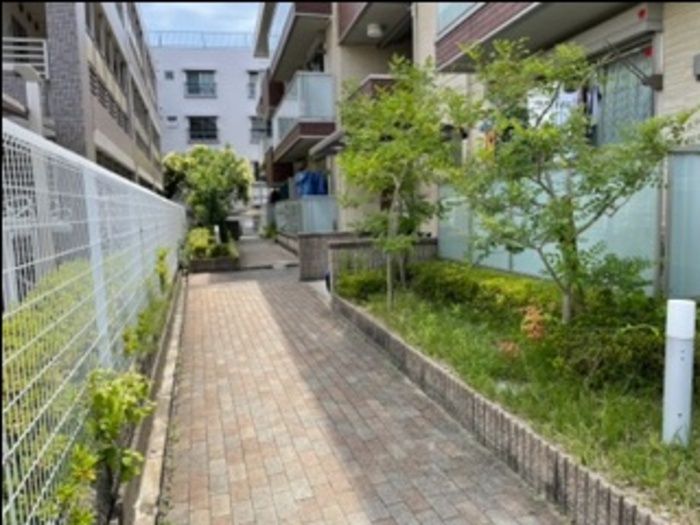 庭