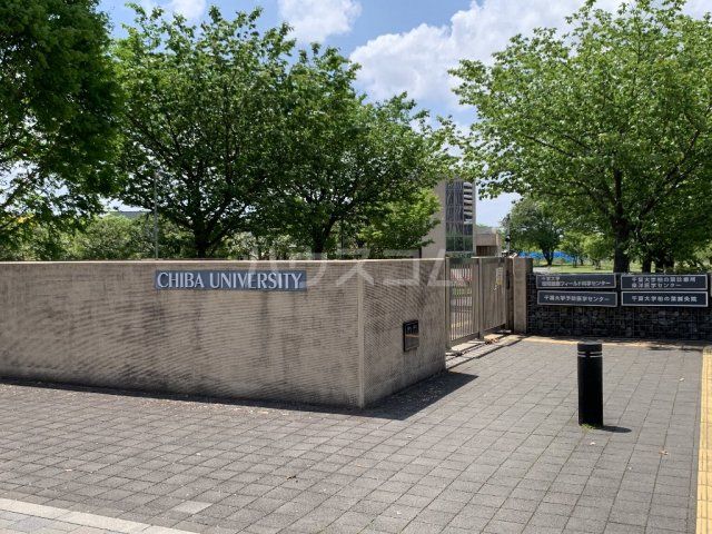 大学・短大　千葉大学 柏の葉キャンパス（大学・短大）まで1597m