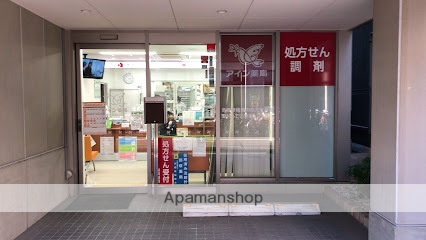 ドラックストア　アイン薬局 月島店（ドラッグストア）まで9m