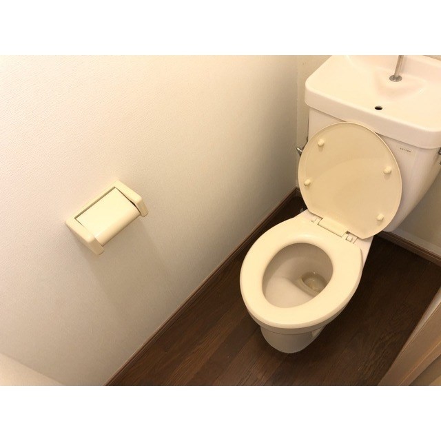 トイレ　別号室の写真です※現況優先