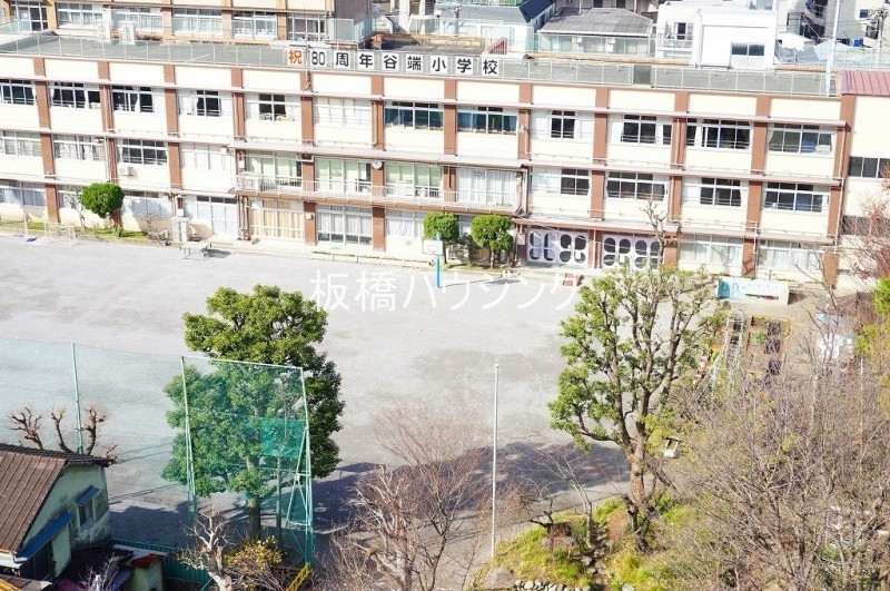 小学校　谷端小学校（小学校）まで605m