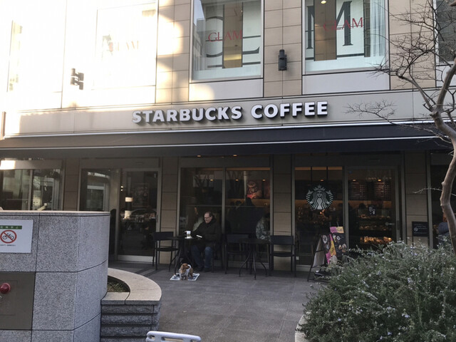 飲食店　スターバックスコーヒー白金高輪店（飲食店）まで215m