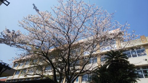 小学校　福平小学校（小学校）まで617m