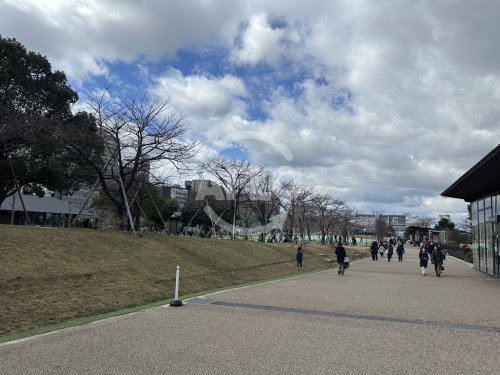 公園　てんしば（公園）まで1000m